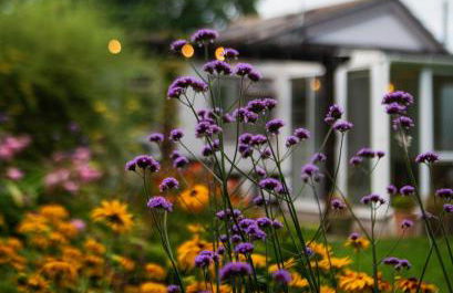 The Garden Cottage, Wenhaston, Suffolk, near coast - Foto 28