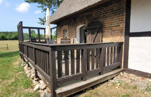 Ferienhof Schwalbennest OFC 24 - Foto 72