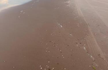 Apto 2 quartos - Condomínio Frente Mar - Photo 36