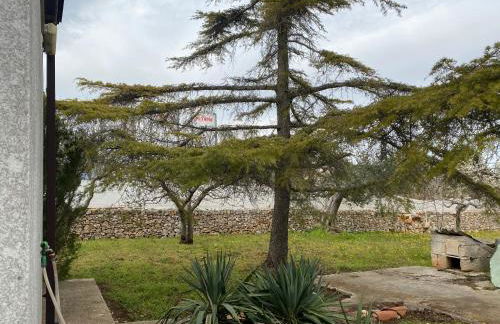 Villa Mima - Foto 33