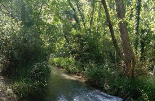 Casa Rural La Torreta en El Rincón de Ademuz - Foto 50