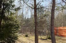 sosnowelowe - Foto 45