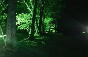 Rancho 4 Corações - Photo 31