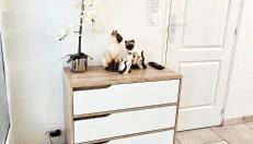 Neptune T2 Meublé de tourisme 3 étoiles - forfait cure sur demande - Foto 5