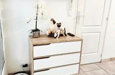 Neptune T2 Meublé de tourisme 3 étoiles - forfait cure sur demande - Foto 5