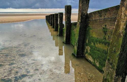 Rock Lobster - Foto 37