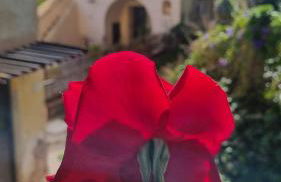 Casale di Sicilia - Foto 56