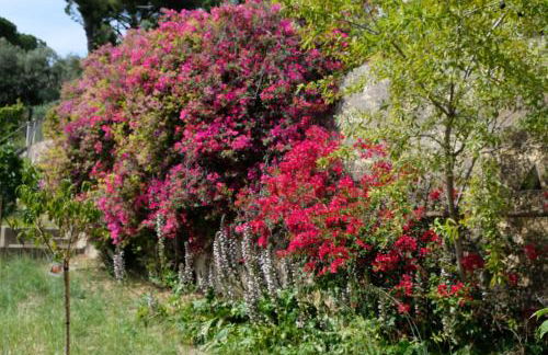 Mas Sainte Marie - Foto 11