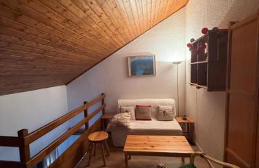 beau duplex marmotiere - Foto 19