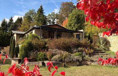 Ferienhaus Eifelgruß, in schöner Waldrandlage und tollem Naturgarten - Foto 1