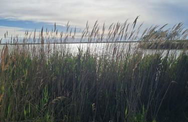 De l'eau et des oiseaux ! - Foto 6