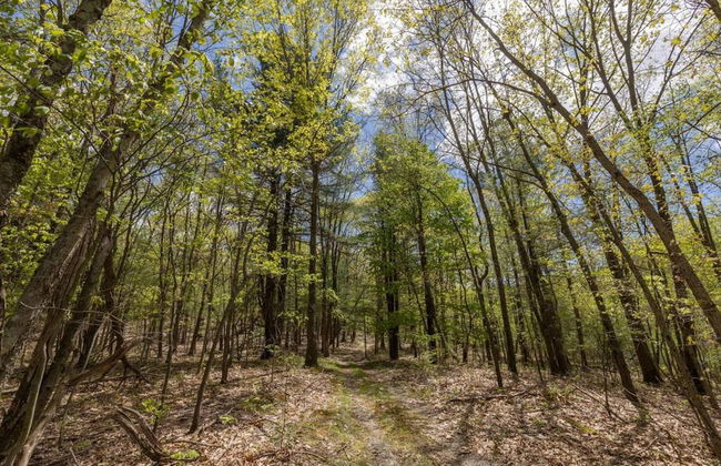 Tiny House 2 5 hrs NYC and Boston Waterfront Wifi - Foto 40