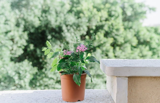 Flea Market Studios - Foto 73