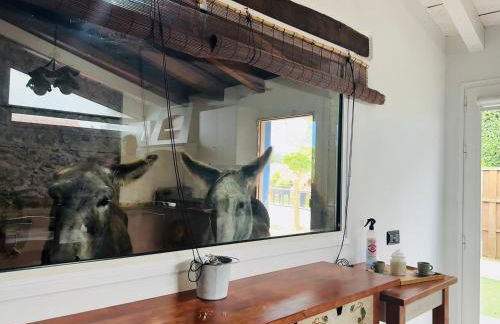 Casa antigua - Foto 38