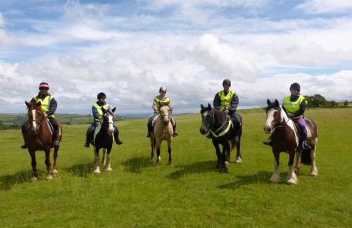 Long Mountain Centre Log Cabins - Foto 44