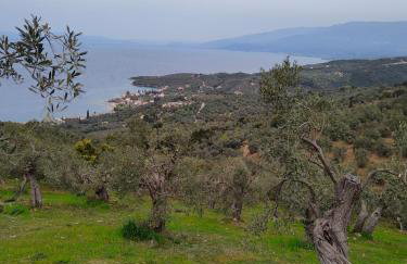 erofili apartments - Photo 55