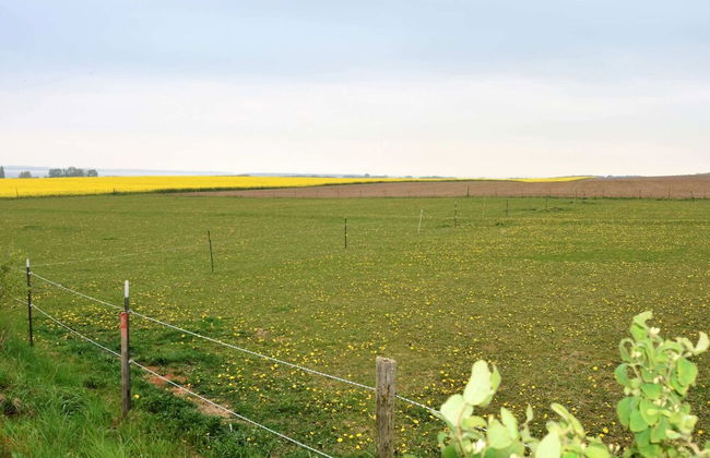 Villa am Meer in Boiensdorf mit Terrasse - Photo 28