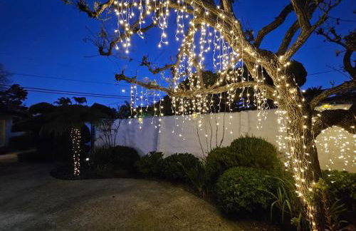 La Jolla Gem with Ocean View - 11 Beds, Hot Tub, Karaoke & Game Den - Foto 30