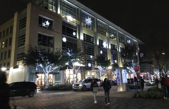 Luxury Living at City Center Houston - Photo 43