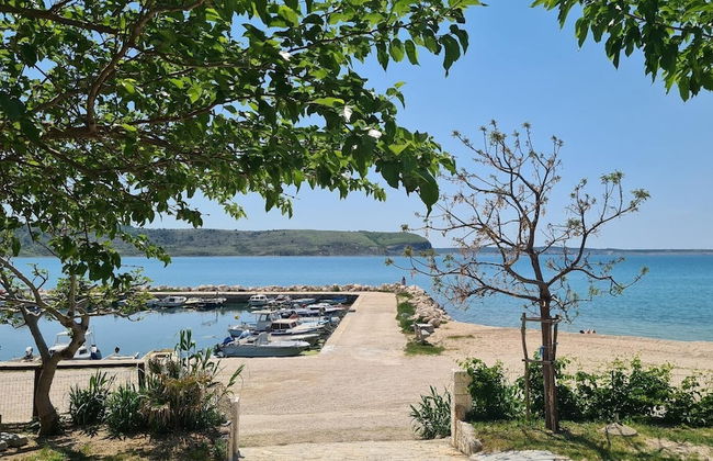 Kamp Miočić - Foto 46