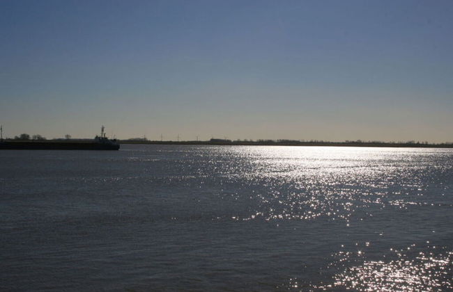 Roof-only House Modern Retreat - Photo 18