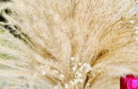 Les Gîtes de la Chapelle 4 - Photo 42