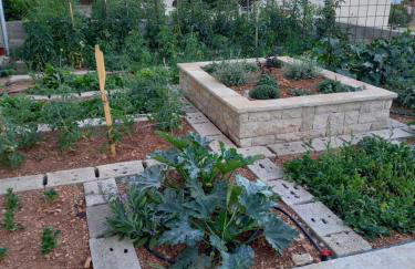 The Father's House - Photo 37