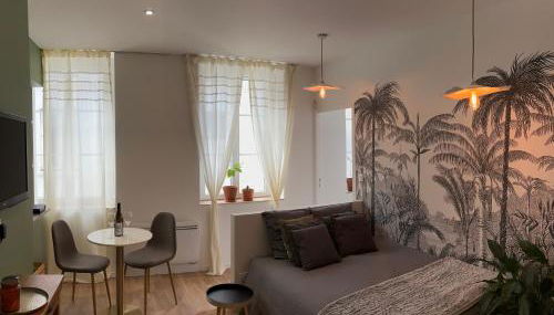 Le Baraban : Cocon hypercentre - Foto 3