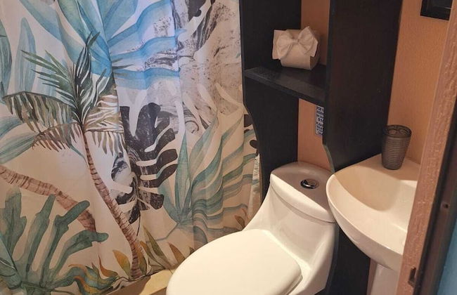 Caribbean Blue Morpho - Foto 16