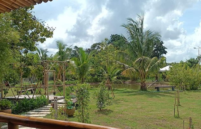 Bamboo Conservation Farm - Foto 33