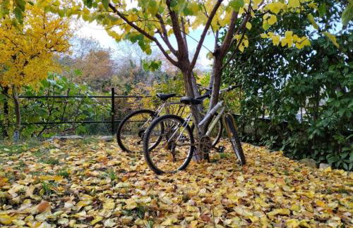 Stomio 4 Seasons Relaxing Apartment - Foto 35