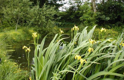 Glascoed Farmhouse Whitland - Foto 20