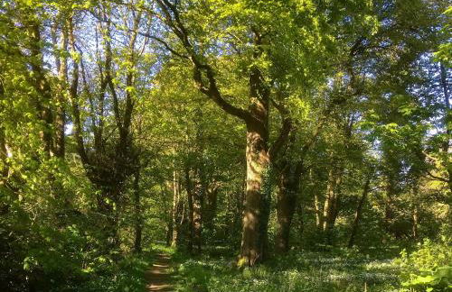 Shore Cottage - Uk12524 - Foto 16