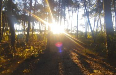 Villa cork contis 1 - Foto 23