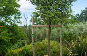 Villa Helvetia - Foto 12