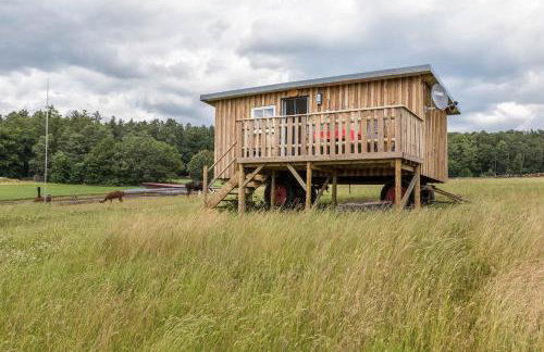 Tinyhouse Alpakawiese - Foto 18