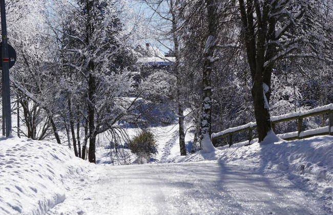 Sunny Terrace & Quiet Stay - Foto 28