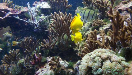 Inselidylle Villa Kunterbunt - Foto 2