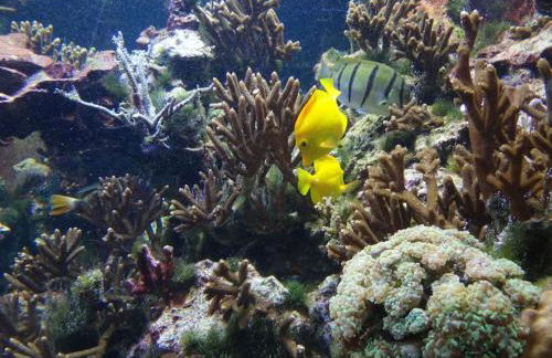 Inselidylle Villa Kunterbunt - Foto 2