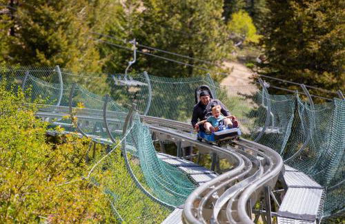 Amazing Escape King Bed BSU Parking Fire Pit - Photo 43