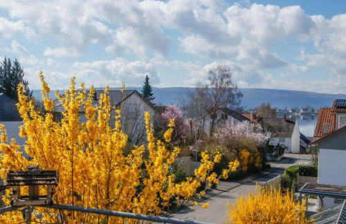 Über der alten Gärtnerei - Foto 25