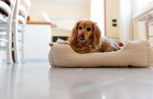 Appartamento La Rondine - Foto 27