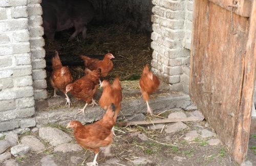 Agroturystyka Biebrzańska Kraina - Foto 27