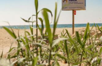 encantador apto en la playa - Foto 62