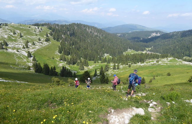 Family Retreat Near Garda - Photo 39