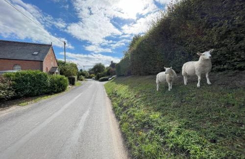 The Old Chapel - Photo 46