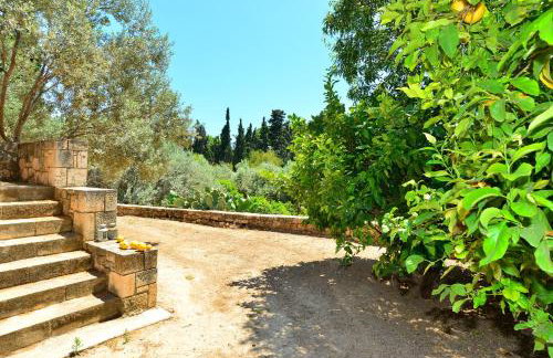 PYRGOS RALLI ESTATE Guesthouse - Foto 21