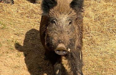 Maison de campagne à Camps-sur-l'Agly avec vue sur lac - Photo 19