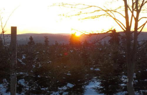 Zum Sauerländer Altstadt - Foto 23