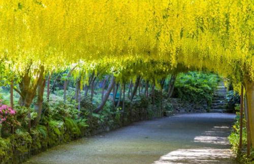 Conwy Castle cottage - Foto 15
